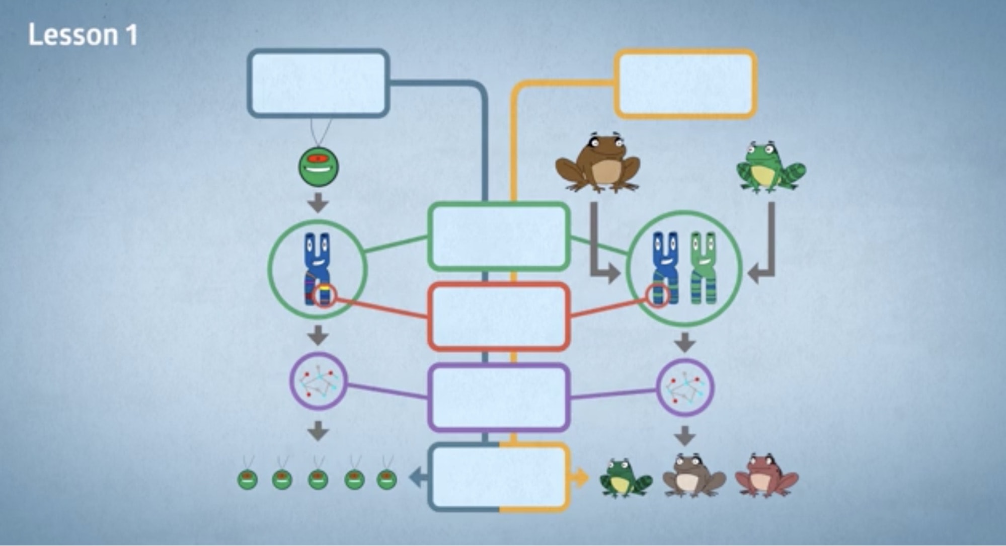 free educational software for elementary students to use offline